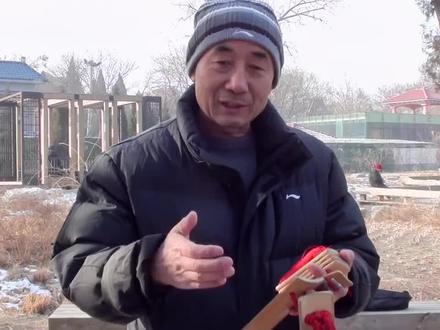 #快板 #快板花板教学 #教学示范 #曲艺 齐旭先生花板教学(北京老齐)