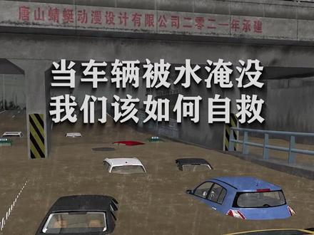 当车辆被水淹没,我们该如何自救?一条视频详解车内逃生。(来源:@蜻蜓动漫)