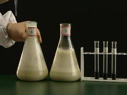 高中生物必修一:10探究酵母菌呼吸的方式