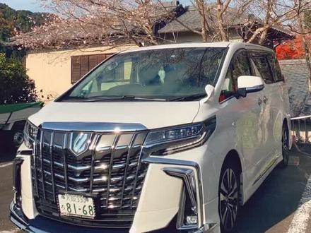 很多人没有见过的画车过程,画台埃尔法,会上热门吗#埃尔法 #丰田 #丰田埃尔法