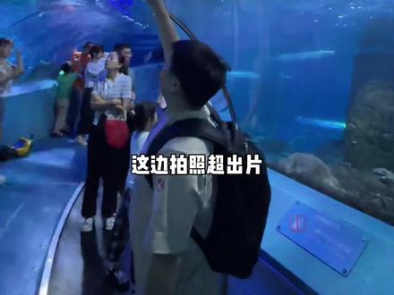 来南京海底世界不知道怎么玩,这条攻略请码住#海底世界战马奇技嘉年华 #江苏周末很哇塞#亲子游玩好去处 #一起看看海底世界 #海洋馆打卡