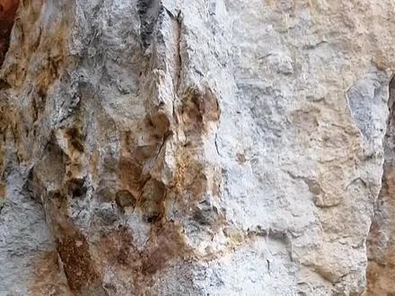 这样的铝土矿真是挖一吨少一吨。