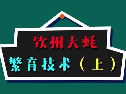 钦州大蚝繁育技术(上)@抖音小助手