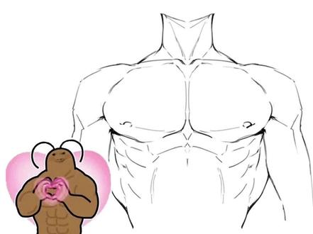 不会画胸肌的有福了,教程来啦!绘画收徒敲111我教不用mi#画画#绘画#零基础学画画#procreate画画#绘画教程