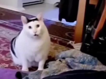 每日一遍,烦恼再见!