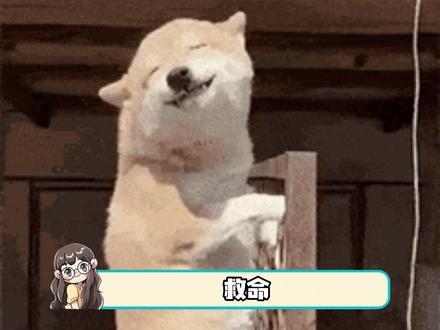 马年春晚的惊喜总是来得猝不及防