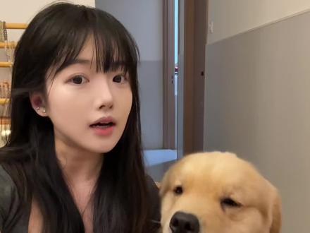 想要狗狗长得好就吃这款#金毛 #萨摩耶 #狗狗 #狗粮