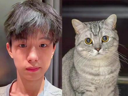 好有爱好喜欢,与猫咪相拥合照ai指令 教程来啦!#豆包p图指令宠物合照指令 ai生成自己和宠物的合照#和宠物合 合照教程来啦!和自家萌宠合照!#豆包P图指令#和宠物合照#豆包ai