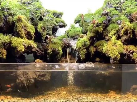 鱼缸造景,三层妖塔,草缸玩家嫌麻烦,那就开始入坑水陆鱼缸吧