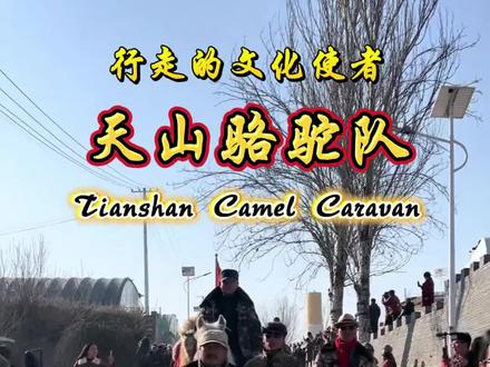重走丝绸之路,感受千年文化的魅力!🔥 天山骆驼队带你穿越历史,领略壮丽风光。#重走丝绸之路 #文化之旅