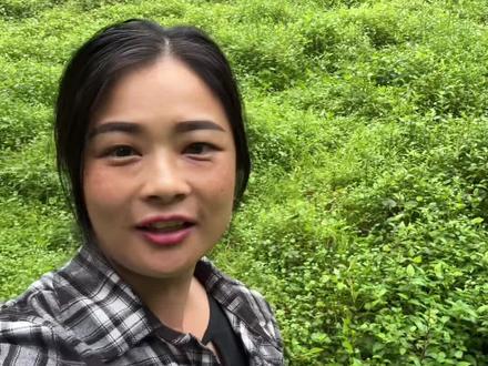 动物比人更温暖人心,人不是你真诚就会对你真诚,但动物会,就像牛仔感受到我真心对它,就会得到认可和爱的回应#万物皆有灵性 #我的农村生活 #放牛的一天