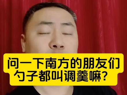 问一下南方的朋友们,勺子都叫调羹嘛?#南北差异