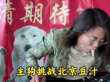 老北京豆汁 走南闯北也尝过不少地方小吃,唯独老北京豆汁难喝到难以下咽,真好奇老北京人怎么爱喝,外地人有能接受这一口的吗?#狗狗 #狗狗搞笑视频 #这是个真实的事情