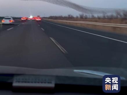 壮观!网友在返程途中看到密集鸟群,绵延数百米形成“鸟浪”。网友:这一刻鲲鹏具象化了。@我家有小龙女