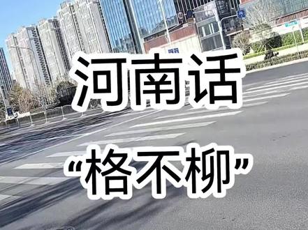河南话“格不柳”听懂的都是河南人#河南方言