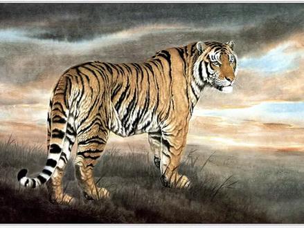 决战高考,为梦想而战#以梦为马不负韶华