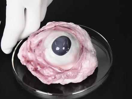 如果将一颗眼球剖开,它的内部结构是怎样的? #科普 #解剖 #眼睛 #眼球 #涨知识