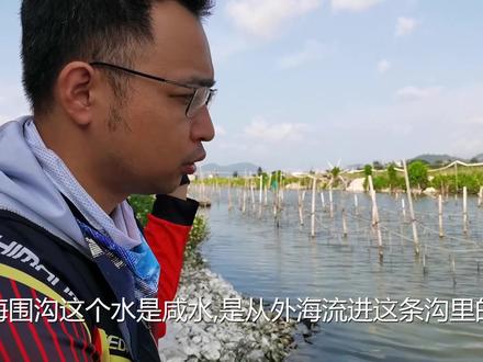 台钓的钓法钓大乌头,手感爽歪歪