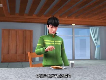 食物在人体内的消化过程!#科普 #知识科普 #小学科学 #未来立体 #智慧课堂