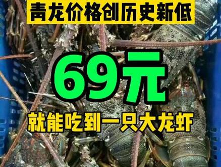 青龙价格创历史新低!#水产养殖 #三农