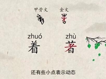 “着”字的发展与演变#传统文化 #今日分享 #教育 #一年级 #干货分享