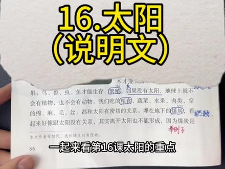 五年级上册第16课《太阳》重点#小学语文