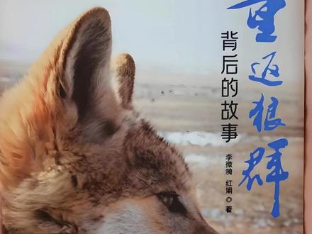 大家都在关心狼王格林的生死 其实李微漪在《重返狼群》的最后已经告诉我们了。#重返狼群 #狼王格林 #狼王格林结局 @重返狼群正版新书(出版社直发)