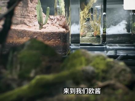 s01-虚幻引擎安装及创建工程说明讲解