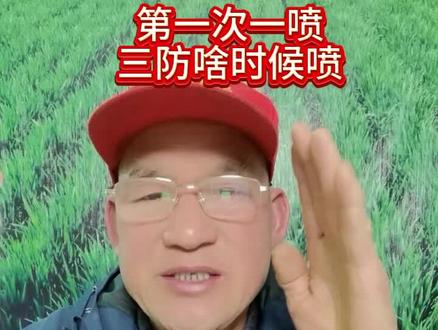 一喷三防啥时间打?#我的乡村生活 #万穗山 #百农成安221