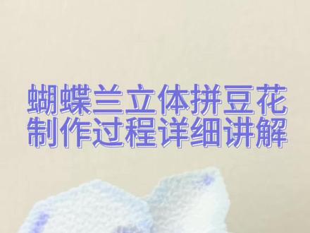 拼豆立体版蝴蝶兰申请出战 #抖音第0届拼豆大赛 #抖音拼豆学术交流大会 #拼豆科研 #教程分享 #拼豆花束