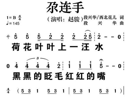 尕连手简谱动态谱(赵骏演唱) #简谱 #动态谱 #学唱歌 #教唱歌 #中老年