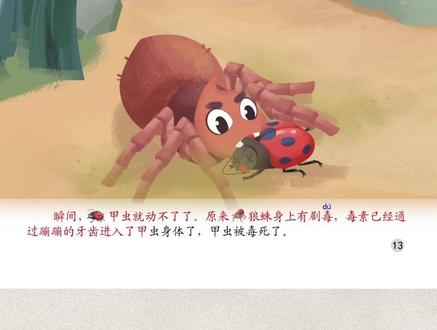 #我在抖音追剧 昆虫记之狼蛛