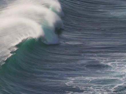 大海被污染了!也许未来可以用这些专业拯救!