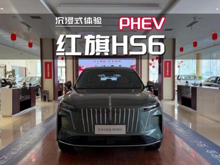 沉浸式体验:2026款红旗HS6 PHEV 145智混版#红旗hs6phev #高航试车 #我在车圈沉浸式打工