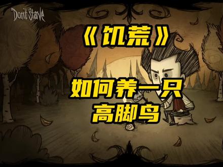 如何在饥荒中养一只高脚鸟?#创作灵感 #饥荒 #饥荒新手教程