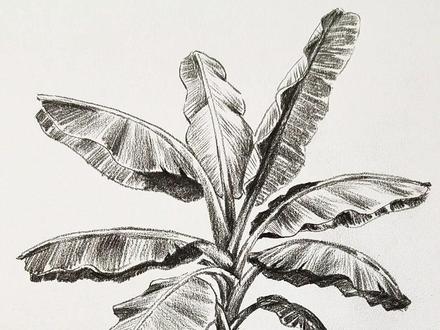 这不是有手就能画的嘛? #随手画 #一般人不告诉他 #抖出我的艺术