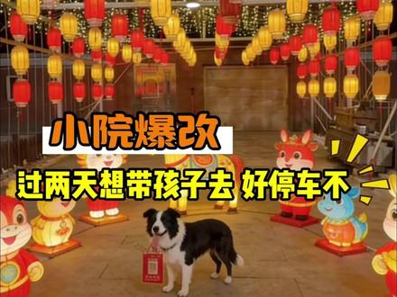 主人舍不得花的钱全让狗花了!#边牧 #灯笼 #闯祸 #大唐不夜城