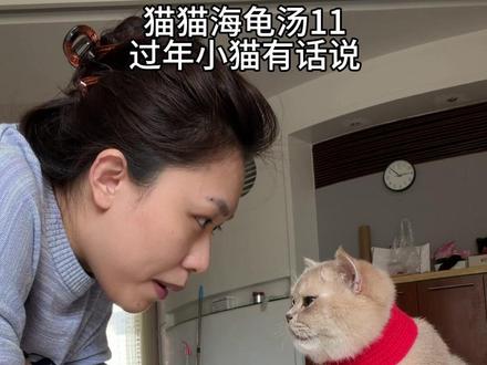 猫猫海龟汤11–小猫祝大家新年快乐 #海龟汤 #猫咪#新年快乐 #马年