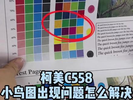 柯美C558小鸟图出纸效果问题怎么解决#复印机维修 #复印机租赁 #复印机耗材 #图文快印 #办公设备