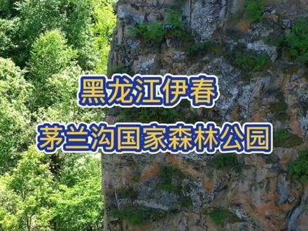 茅兰沟国家森林公园,这里是东北的小九寨沟,在这个炎热的夏天来到峡谷中避暑,赏奇石,瀑布,呼吸新鲜的负氧离子,感受一下森林的家吧!#旅行推荐官 #周末去哪玩 #亲子游玩好去处 #暑假嗨玩计划 #清凉避暑好去处