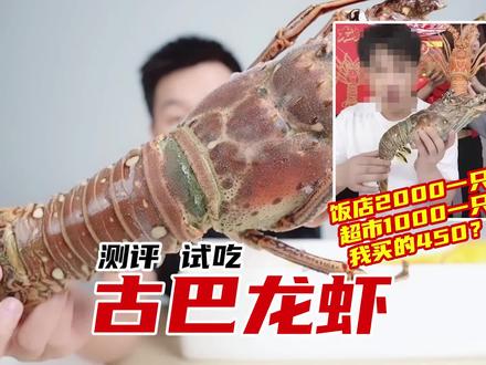 花450元在辛巴直播间买了一只古巴大龙虾,真的值吗? #美食测评 #古巴龙虾 #评测 #海鲜大礼包