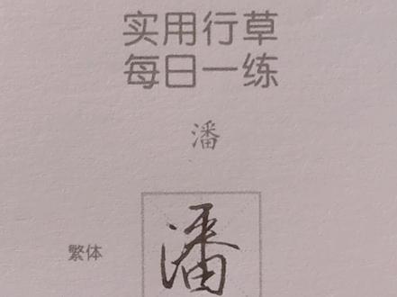 潘,硬笔手写钢笔写字行草每日一练……#手写 #练字 #传统文化