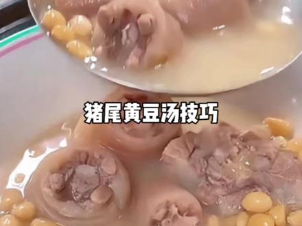 为什么猪尾巴黄豆汤喝多了补身体?#美食 #美食教程 #猪尾汤