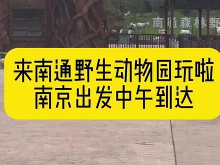 南通野生动物园森迪部落酒店保姆级攻略,两天一晚,流水账vlog,表演全都看了,火车游船都坐了#南通野生动物园 #森迪部落酒店 #森迪冰雪乐园 #南通野生动物园大马戏 #南通野生动物园夜场