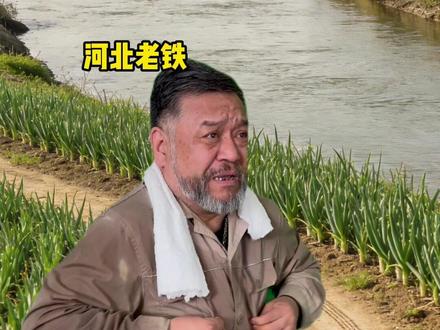 《河北人都是不知火舞》#不知火舞梗二创大赛 #不知火舞 #河北方言