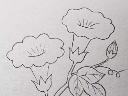 牵牛花这样画,三十秒就学会了#简笔画