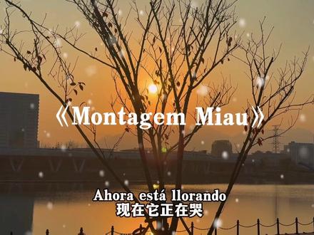 挖你的鼻孔尿尿#喵喵喵#montagemmiau#音乐分享