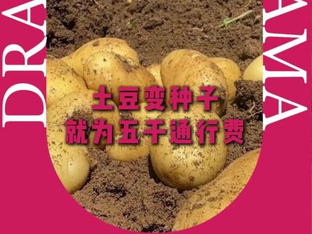 把货车司机当软柿子捏呢? #货车司机 #土豆 #高速收费