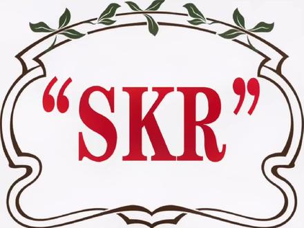 “skr”什么意思?#skr #skr不skr #知识科普 #网络热词翻译 #网络热词 #网络流行语 #网络流行词