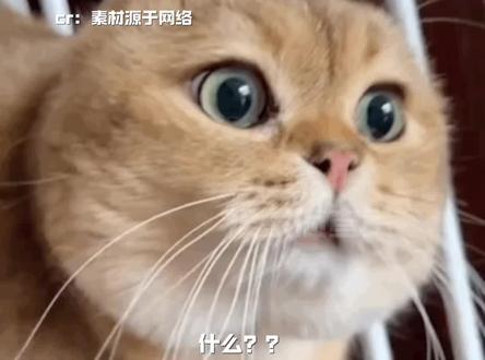 难怪我每天啥事没干都觉得好累啊!!#银河系 #太阳